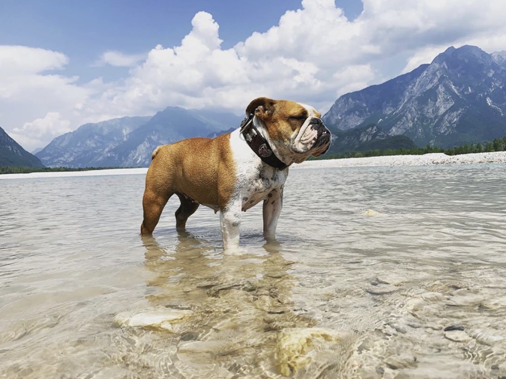 Bildschirmfoto 2019-07-28 um 16.49.25-squashed