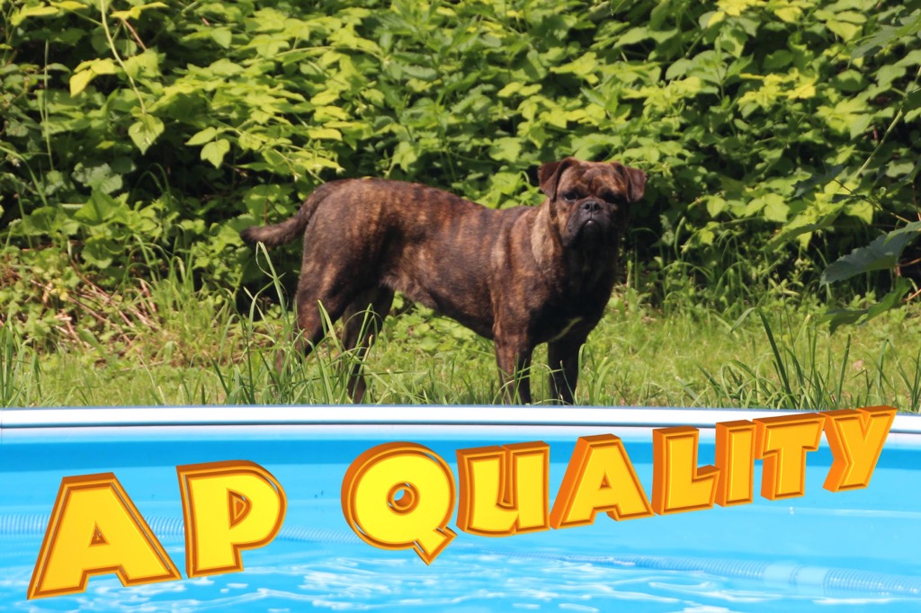 qualitypool2