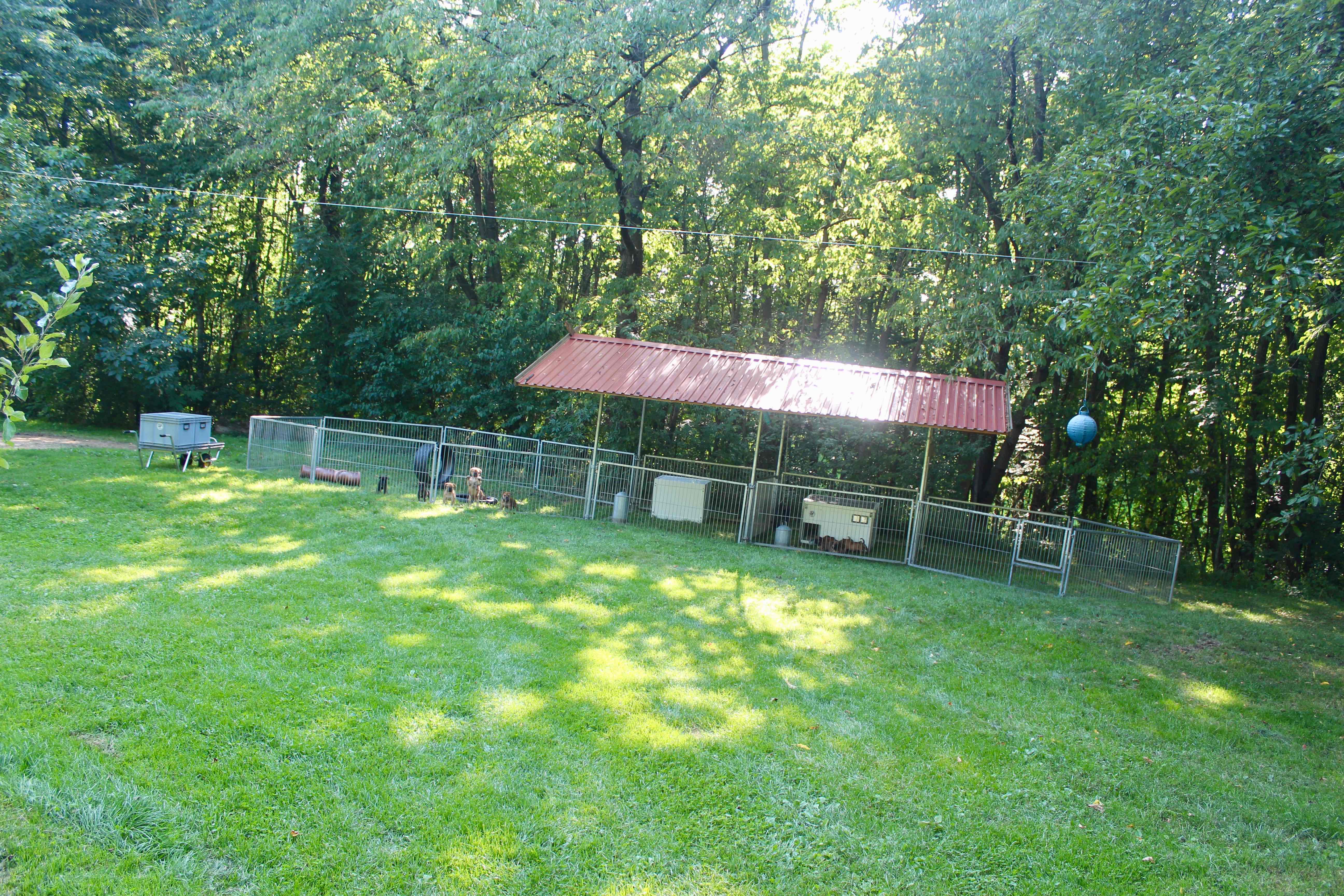 Zuhause auf der Welpenwiese