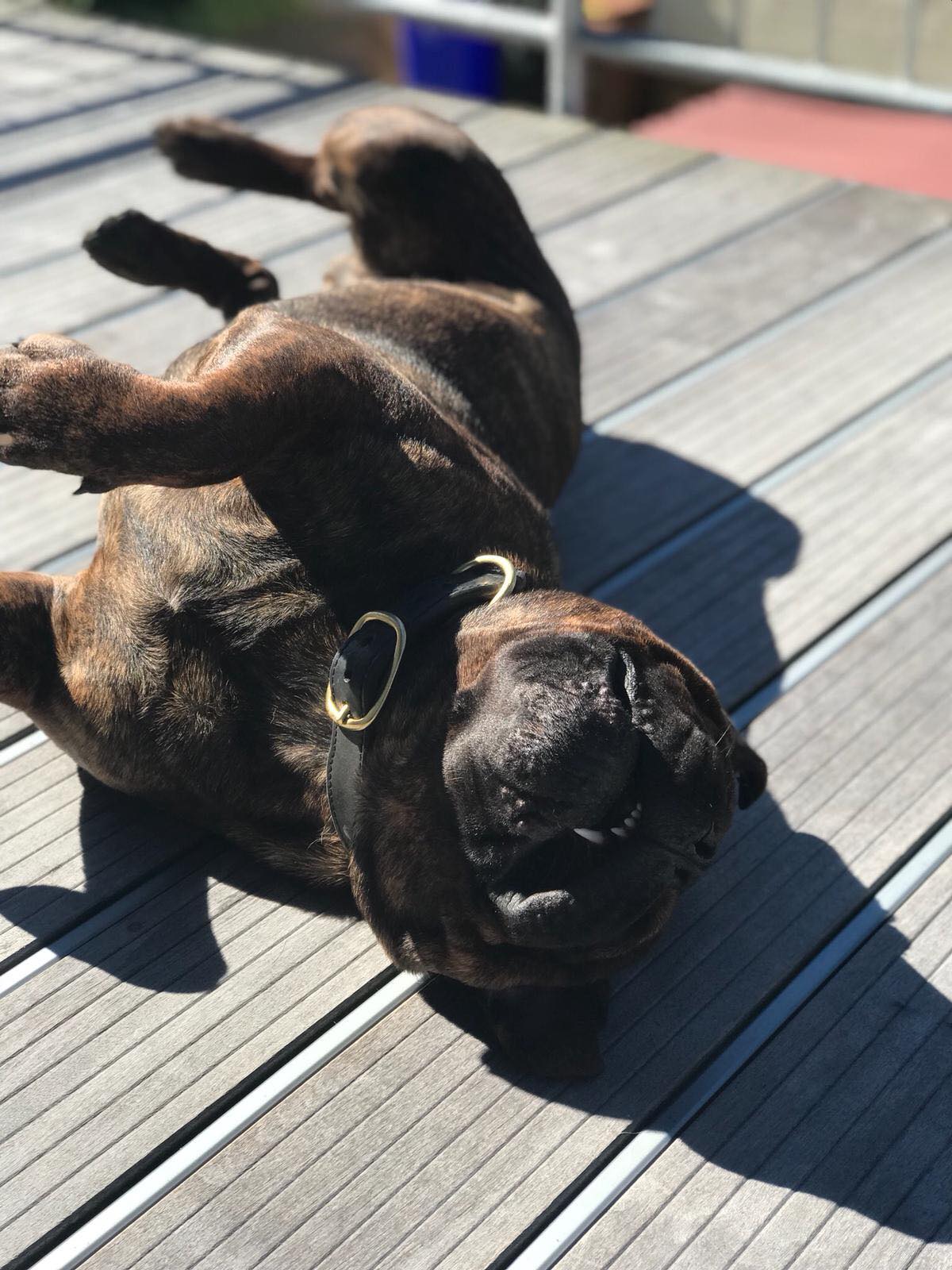 Auf dem Sonnendeck