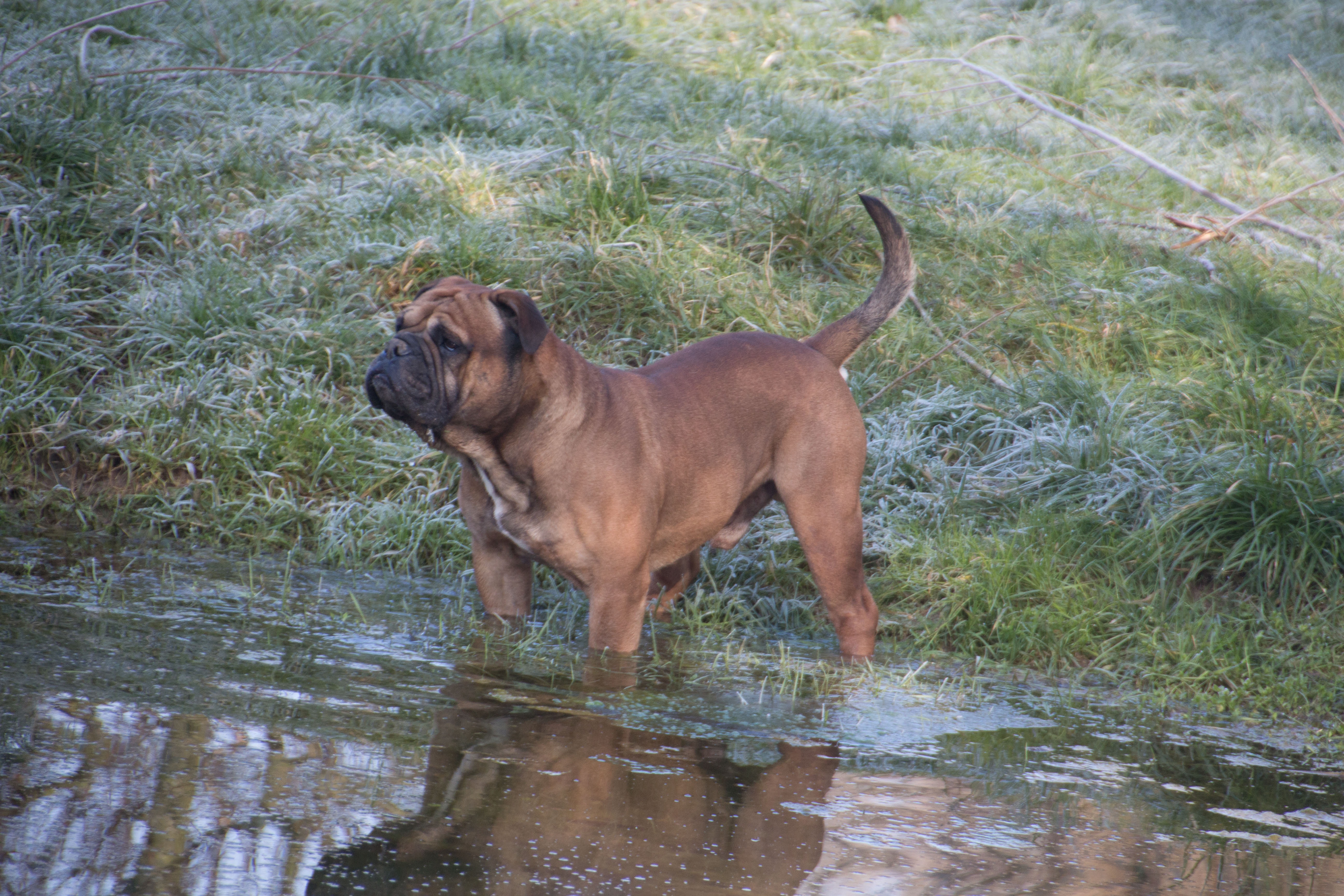 Beim baden