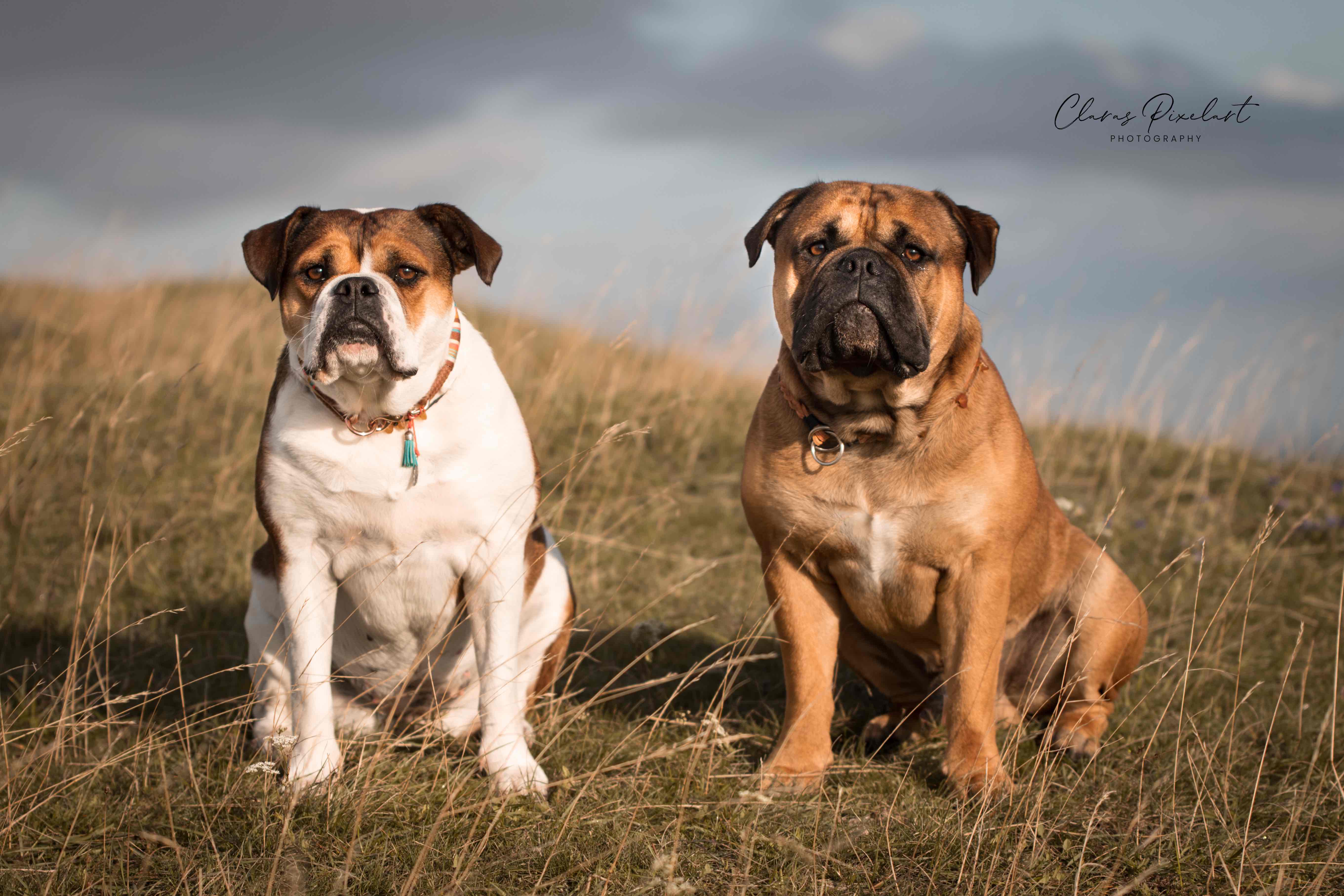 Katie und Duke