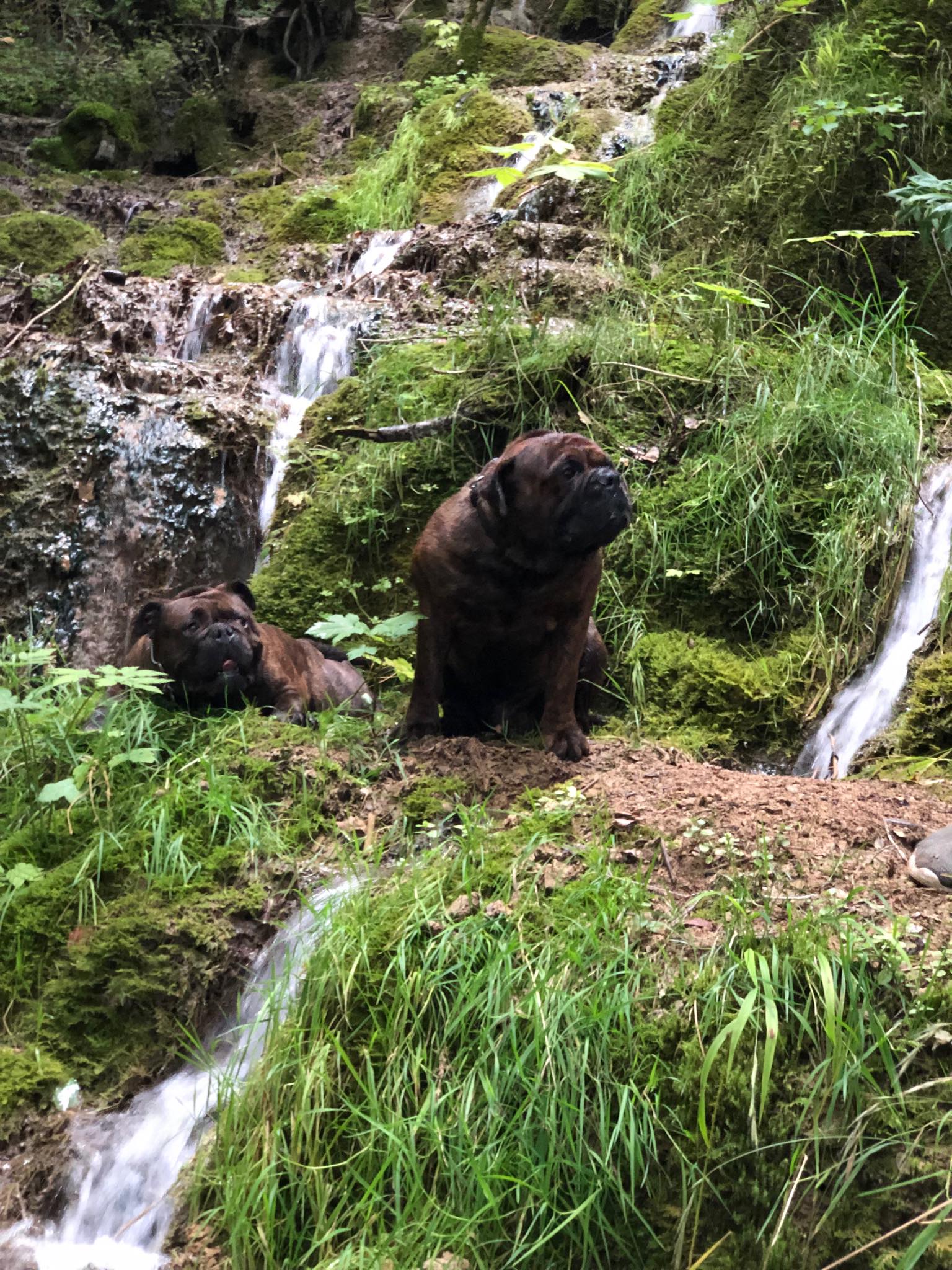 Mit AP BERG am Wasserfall