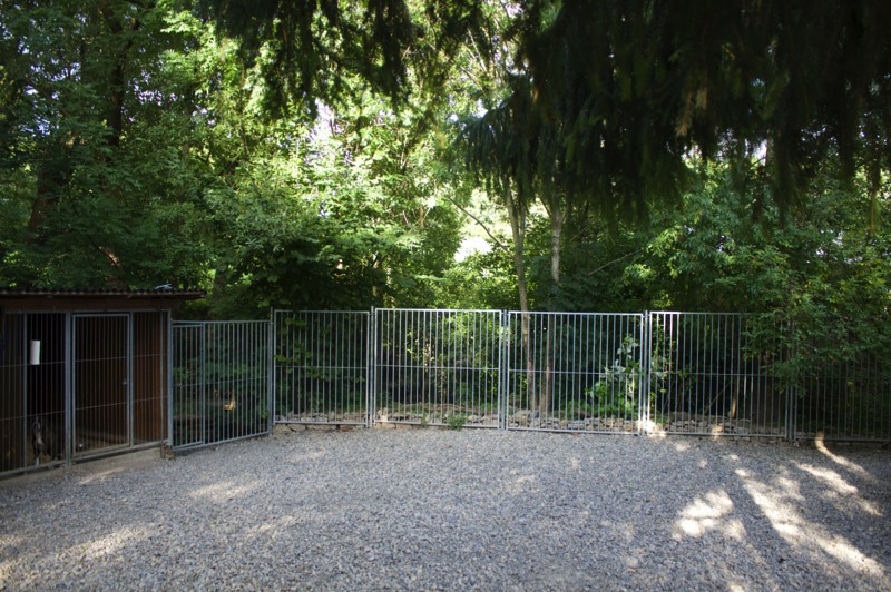 Zwingeranlage am Bach