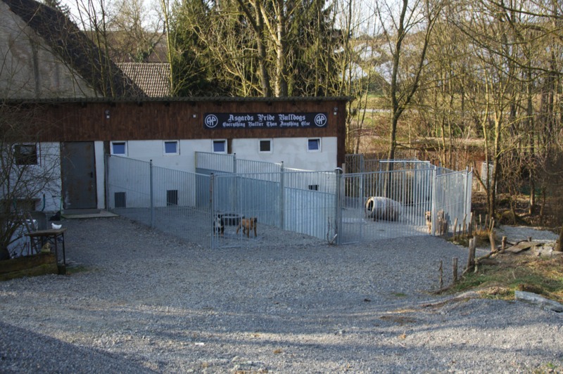 Das Hundehaus mit Auslauf