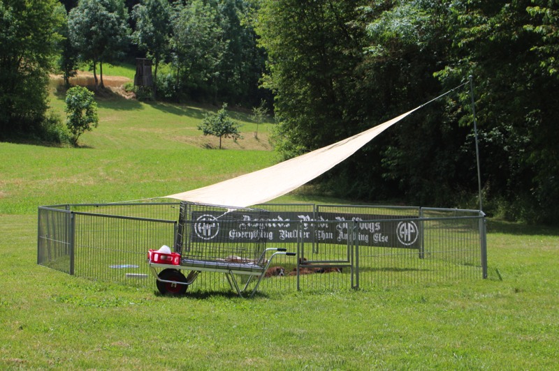 Kleiner Welpen-Auslauf im Sommer