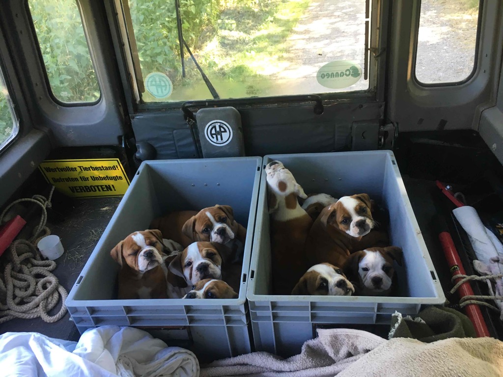 Unterwegs im Auto